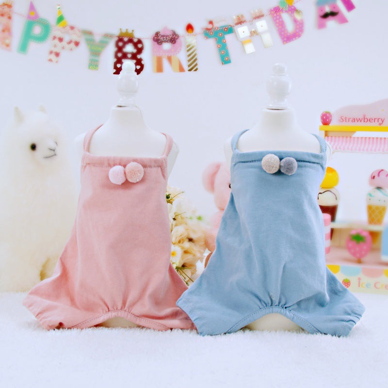 Birthday Party outfits for pets-2