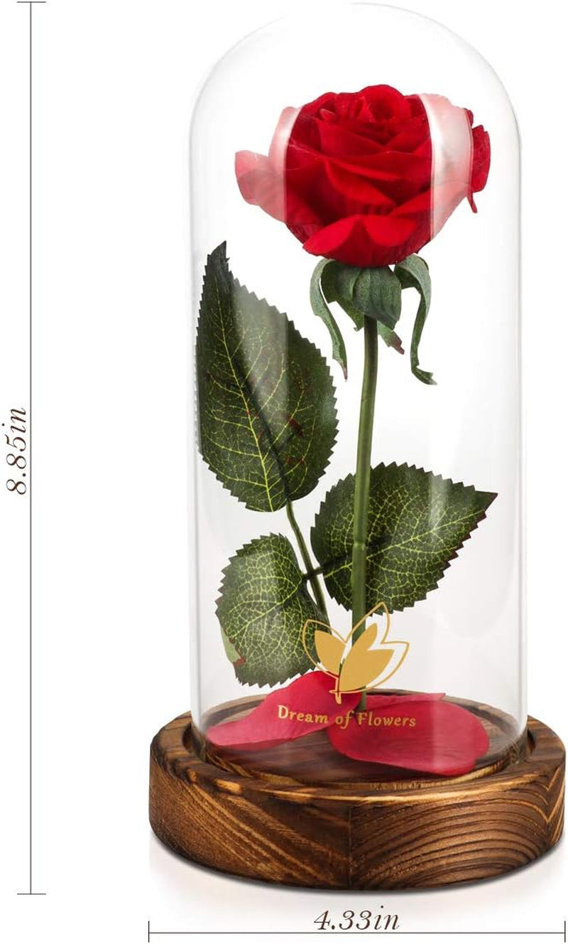 Christmas Day Rose Gifts for Her,Beauty and the Beast Rose in Glass Dome Lasts Forever Red Rose with LED Lights,Gifts for Women Mom Wife,Anniversary,Thanksgiving Gifts,Wedding Home Decor