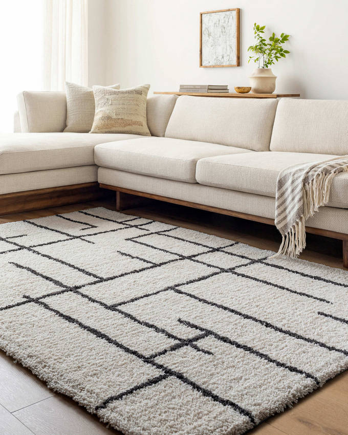 Ieasha Global Off-White/Onyx Area Rug-0