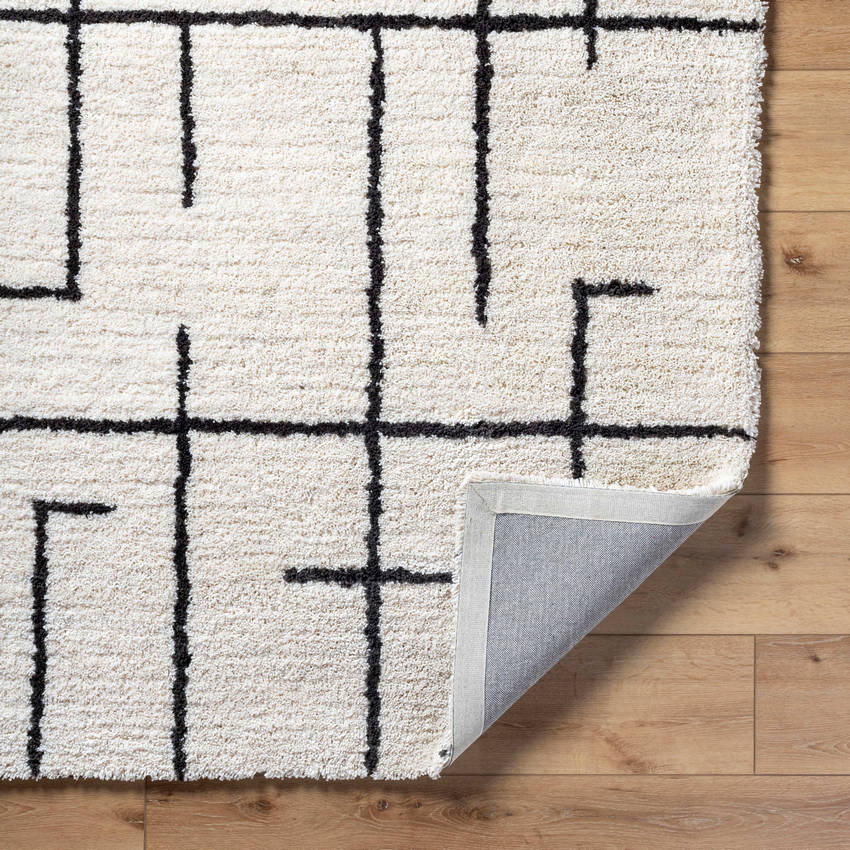 Ieasha Global Off-White/Onyx Area Rug-3