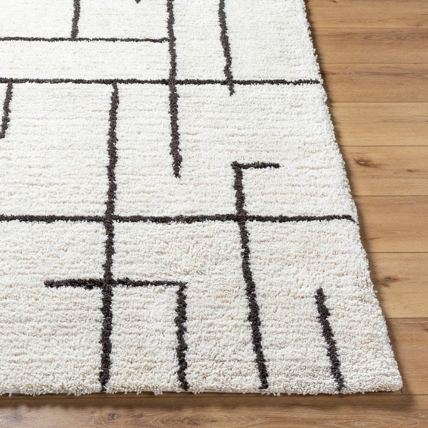 Ieasha Global Off-White/Onyx Area Rug-2