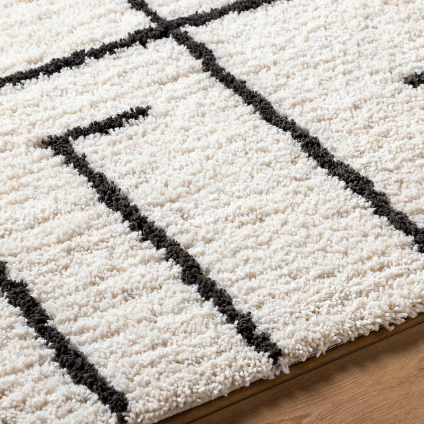 Ieasha Global Off-White/Onyx Area Rug-4