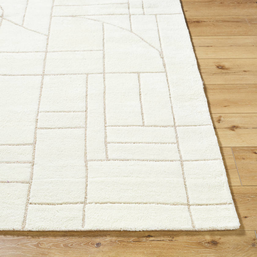 Benard Modern Off-White/Ash Area Rug-4