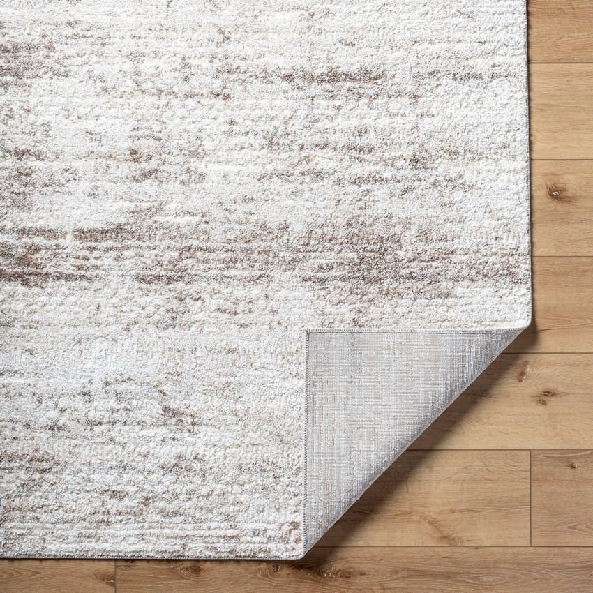 Waylon Cottage Ash/Off-White Area Rug-3