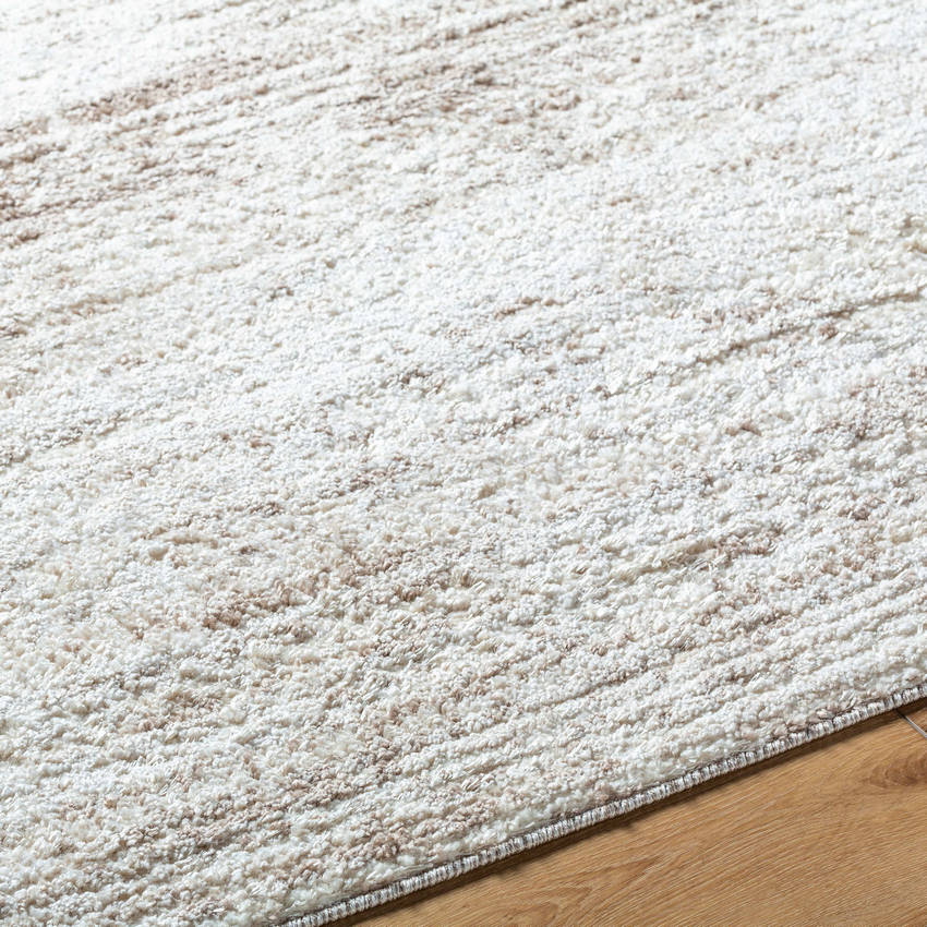 Waylon Cottage Ash/Off-White Area Rug-4