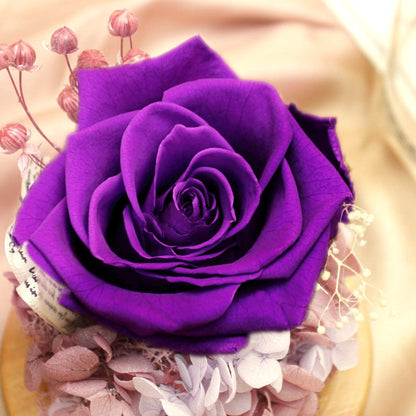 Handmade Delivery Gift Preserved Rose in Glass Dome - Artificial Flowers Creative Gifts for Friend or Women and Family on Valentine'S Day,Chrismas,Birthday,Relationship Gifts for They.(Voilet)