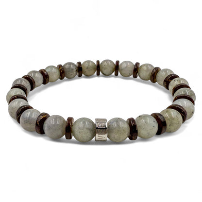 Pulse - Lunar Nomad-3