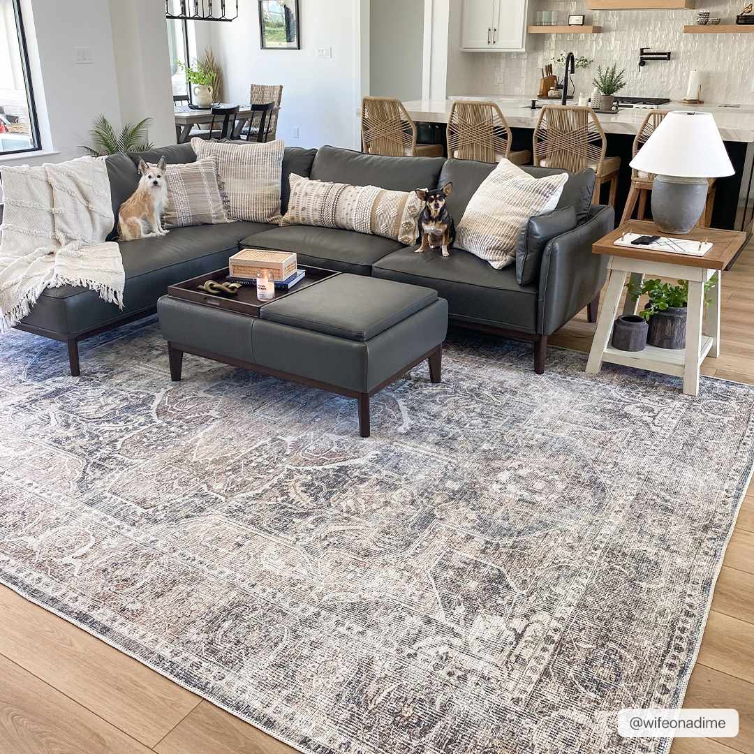 Mignon Washable Area Rug-1